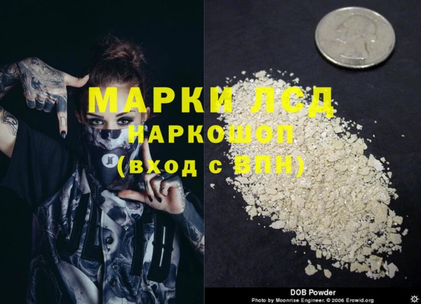 spice Вяземский