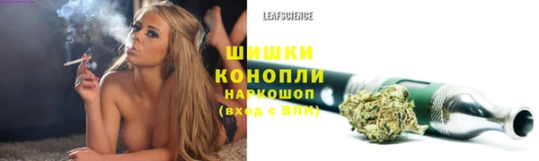 spice Вяземский