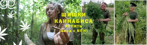 spice Вяземский