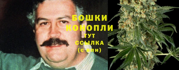 spice Вяземский