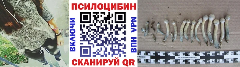 Галлюциногенные грибы GOLDEN TEACHER  сколько стоит  omg зеркало  Владимир 